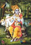 Krishna Forest Poster